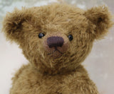 Close-up of a brownish-green teddy bear with a blurred background