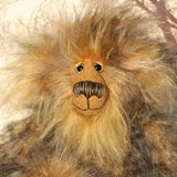 Cyrus's face illuminated in the golden light of the sun. Cyrus Goldcloud is an endearingly sweet one of a kind, artist bear by Barbara-Ann Bears in wonderfully fluffy mohair and faux fur he stands 12 inches/30 cm tall