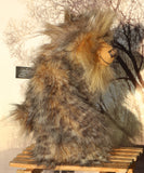 Cyrus standing viewed in profile in the golden light of the sun. Cyrus Goldcloud is an endearingly sweet one of a kind, artist bear by Barbara-Ann Bears in wonderfully fluffy mohair and faux fur he stands 12 inches/30 cm tall