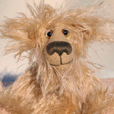 Close-up of a plush teddy bear with a neutral background