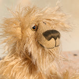 Close-up of a plush teddy bear  with a soft focus background