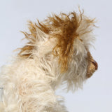 Lumbley is an endearingly sweet and gentle, beautifully coloured, one of a kind,  artist bear by Barbara-Ann Bears, Lumbley stands 10 inches/ 25 cm tall. e's made from cream coloured mohair which has a pale tan backcloth and he has a little mohawk on his head and fluffy ears.