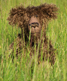 Sometimes Murdo will still hide in the long grass where he lies in wait to pounce on any honey, cakes and marmalade that might pass by