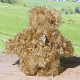 Robbie McFluff is a cute and quite little one of a kind artist bear in wildly curly mohair by Barbara-Ann Bears, he stands just 7 inches(18 cm) tall and is 5.5 inches (14 cm) sitting. Robbie is made from wonderful, wildly curly beige gold mohair, with a slightly warmer backcloth and he has beige German wool felt paw pads