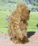 Robbie McFluff is a cute and quite little one of a kind artist bear in wildly curly mohair by Barbara-Ann Bears, he stands just 7 inches(18 cm) tall and is 5.5 inches (14 cm) sitting. Robbie is made from wonderful, wildly curly beige gold mohair, with a slightly warmer backcloth and he has beige German wool felt paw pads