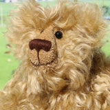 Robbie McFluff is a cute and quite little one of a kind artist bear in wildly curly mohair by Barbara-Ann Bears, he stands just 7 inches(18 cm) tall and is 5.5 inches (14 cm) sitting. Robbie is made from wonderful, wildly curly beige gold mohair, with a slightly warmer backcloth and he has beige German wool felt paw pads