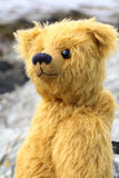 Fortescue is a very sweet, traditional teddy bear in German mohair by Barbara Ann Bears
