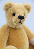 Cookie is made from dense, short, honey gold German mohair, he has black glass eyes and beige German wool felt paw pads which compliment his mohair beautifully. He has a pert, little, carefully embroidered brown nose and a gentle smile