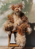 Crackerjack is a magnificent, charming and elegant, one of a kind, artist bear by Barbara-Ann Bears in luxurious hand-dyed fluffy mohair. He's 25 inches(64 cm) tall from his toes to his head and is 18 inches(46 cm) sitting from his bottom to his head, he has flexible knees and bent legs so he sits rather elegantly.