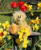 Daffy Doolittle is exceedingly cheerful and wonderfully colourful. Daffy is a bear who loves explore the garden, she heads out as soon as it's warm and dry enough, and not too windy. Suitable conditions for an expedition into the garden usually arise at about the same time as the daffodils are blooming, we think of her as a daffodil bear, hence her name, she really loves daffodils too, unfortunately she does very little to help in the garden, hence the second part of her name.