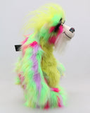 Dazzling Dave is a flamboyant fun-loving and comical, one of a kind, artist bear by Barbara-Ann Bears, he stands 13 inches/33 cm tall and is 10.5 inches/27 cm sitting. He is made of bright lime, pink, yellow and lavender faux fur, with lime paw pads, hand painted eyes, a beautiful multi coloured nose and a sweet smile