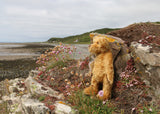 I (Andy) took Wilfred to Monreith beach while Barbara was having her hair cut and coloured (orange and yellow this time), it's a lovely quiet beach with lots of wild flowers on the headland, we enjoyed our time there.