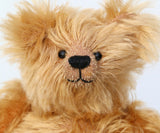 Close-up of a Buddy's face, a sweet antique gold teddy bear on a white background