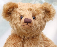 Close-up of a brown teddy bear with a blurred background