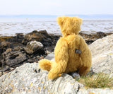 Fortescue, a golden-brown teddy bear sits on a rocky shoreline facing the sea, photographed from behind. The bear has a small black Barbara Ann Bears tag in its back and is surrounded by grey rocks and a pale sky.