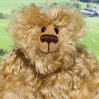 Robbie McFluff is a cute and quite little one of a kind artist bear in wildly curly mohair by Barbara-Ann Bears, he stands just 7 inches(18 cm) tall and is 5.5 inches (14 cm) sitting. Robbie is made from wonderful, wildly curly beige gold mohair, with a slightly warmer backcloth and he has beige German wool felt paw pads 