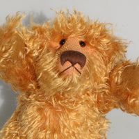 Close-up of a teddy bear with a neutral background
