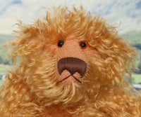 Close-up of a fluffy brown teddy bear with a blurred natural background