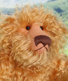 Close-up of a fluffy brown teddy bear with a blurred natural background