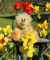 Daffy Doolittle is exceedingly cheerful and wonderfully colourful. Daffy is a bear who loves explore the garden, she heads out as soon as it's warm and dry enough, and not too windy. Suitable conditions for an expedition into the garden usually arise at about the same time as the daffodils are blooming, we think of her as a daffodil bear, hence her name, she really loves daffodils too, unfortunately she does very little to help in the garden, hence the second part of her name. 