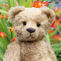 The Frederick Teddy Bear pattern makes a sweet traditional Barbara-Ann Bear about 15 inches (38cm) tall. This one in short straight mohair