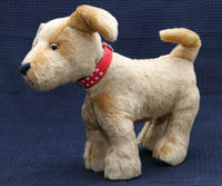 Goldie is a friendly and very well behaved, artist teddy dog made in beautiful golden old English mohair by Barbara Ann Bears Goldie stands 10 inches( 25 cm) tall, she is 12 inches (31 cm) from nose to the base of her tail and she is 11 inches (28 cm) across the ears.