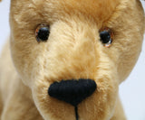 Goldie is a friendly and very well behaved one of a kind, artist teddy dog made in beautiful golden old English mohair by Barbara Ann Bears, she stands 10 inches( 25 cm) tall, she is 12 inches (31 cm) from nose to the base of her tail and she is 11 inches (28 cm) across the ears. 25 cm) tall
