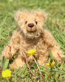 Gubbins is a wild and shaggy chap, a bear who loves to be out in the garden looking after the flowers. 'Looking after the flowers' means smelling the flowers, nothing too demanding like watering or weeding would occur to Gubbins. He knows the names of all the flowers, those big pink smelly ones, pretty yellow ones but not those little blue ones, he can never remember the names of those (forget me nots)