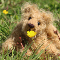Gubbins is a wild and shaggy chap, a bear who loves to be out in the garden looking after the flowers. 'Looking after the flowers' means smelling the flowers, nothing too demanding like watering or weeding would occur to Gubbins. He knows the names of all the flowers, those big pink smelly ones, pretty yellow ones but not those little blue ones, he can never remember the names of those (forget me nots)