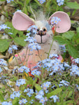 Moussorgsky is a comical, sweet and dinky, one of a kind, artist mouse with impressive ears in designer fabric & mohair by Barbara-Ann Bears. Moussorgsky stands just 5 inches (12.5 cm) tall and is 4 inches (10 cm) sitting, his tail is 5 inches (12.5 cm) long. He is mostly made from a wonderful printed cotton fabric