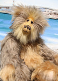 Puccini is a magnificent, charming and elegant, one of a kind, artist bear by Barbara-Ann Bears, he is quite a large teddy bear, he's 20 inches (51 cm) tall from his toes to his head and is 14.5 inches(37 cm) sitting. Puccini is made from long, fluffy beige faux fur with black tipping and long and fluffy blond mohair