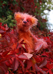 Sprocket is an endearingly comical and undemanding one of a kind artist bear made from hand dyed mohair and faux fur by Barbara Ann Bears, he stands 13 inches( 33 cm) tall and is 10.5 inches (27 cm) sitting. He's mostly made from a long and tousled mohair that Barbara has dyed in purple, pink, peach and orange