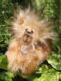 Jim Drimble is a loveably, fluffy wild and gentle one of a kind artist bear by Barbara-Ann Bears