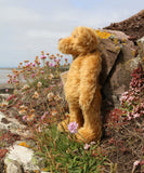 Wilfred is a very sweet and friendly artist teddy bear in gorgeous mohair by Barbara Ann Bears, he is 12 inches/30 cm tall and is 8.5 inches/21 cm sitting. Wilfred is made from a wonderful antique gold mohair with brown wool felt paw pads and gorgeous amber glass eyes. Wilfred has a carefully embroidered brown nose