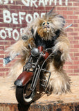 Wild Wyatt is a wild, freakishly fast and surprisingly friendly, one of a kind, mohair, artist,  biker bear by Barbara-Ann Bears. He is 11.5 inches (29 cm) tall sitting on his bike, sitting without a bike he is 10 inches (25 cm) tall and his model Indian Chief bike is 14.5 inches (36 cm) long.